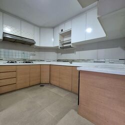 Fortune Park (D19), Condominium #523388261